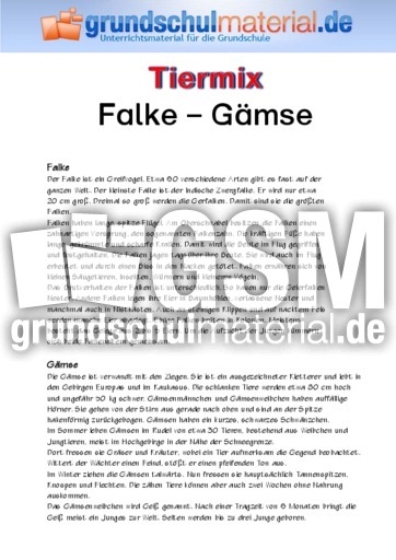 Falke - Gämse.pdf